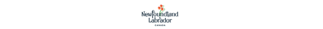 Newfoundland Corporate Searches